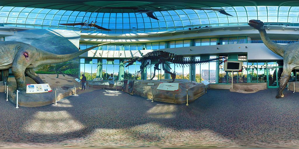 Dinosaur exhibit in North Carolina Museum of Natural Sciences