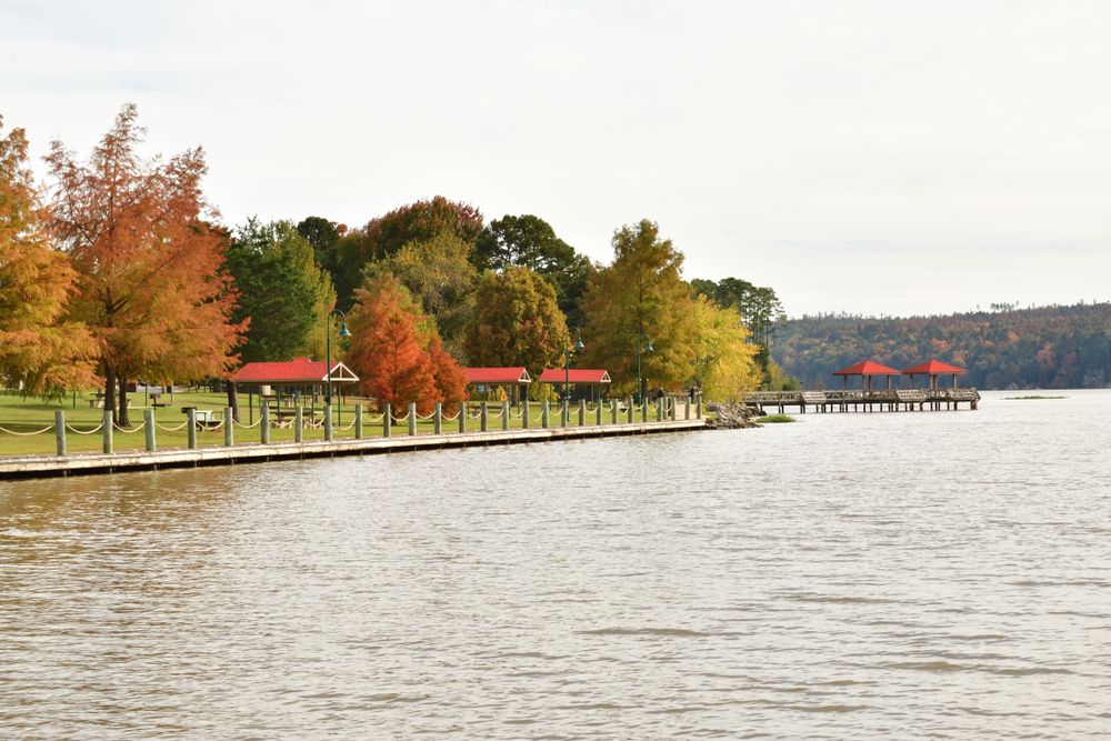 The waters of Lake Dardanelle State Park