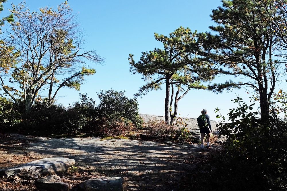 A hiker at Mcafee Knob Trail