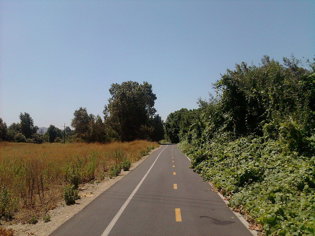 Part of Rio Hondo River Trail lined with trees