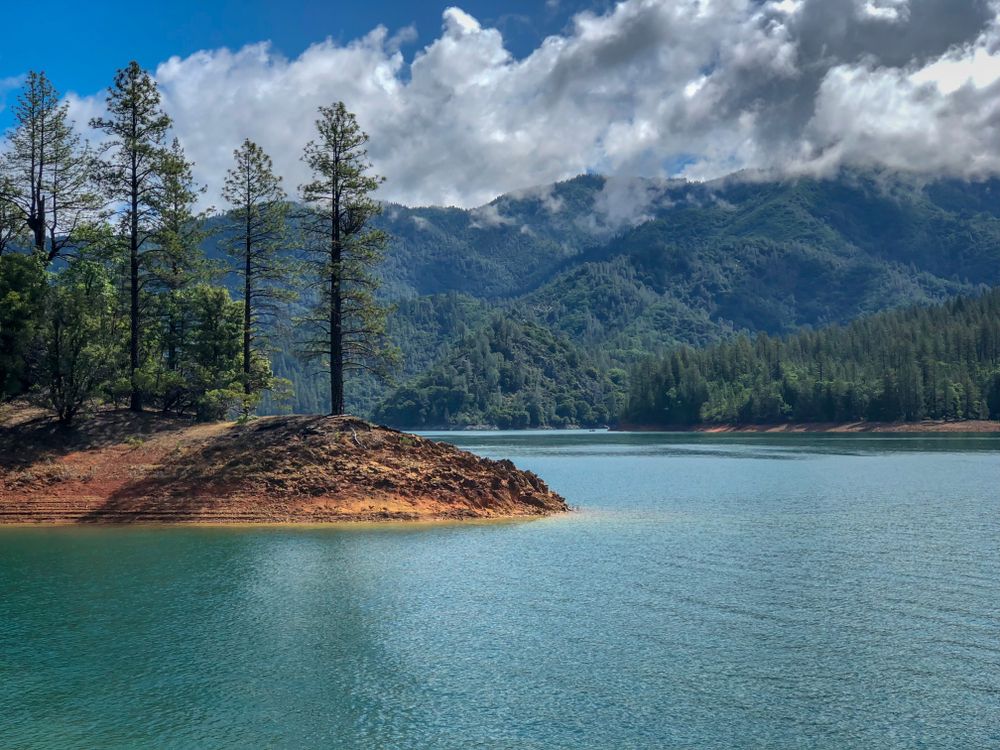 The waters of Shasta Lake