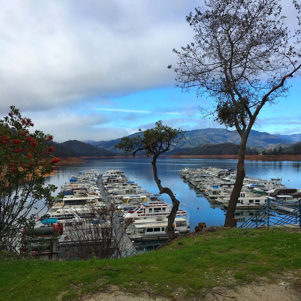 Boats docked on Shasta Lake