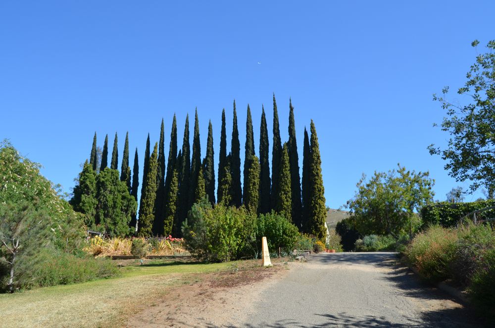 Trail at University of California Riverside Botanic Garden