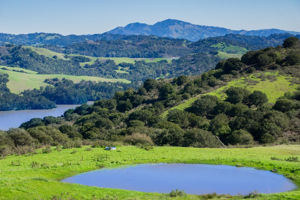 Reservoir at Wildcat Canyon Regional Park