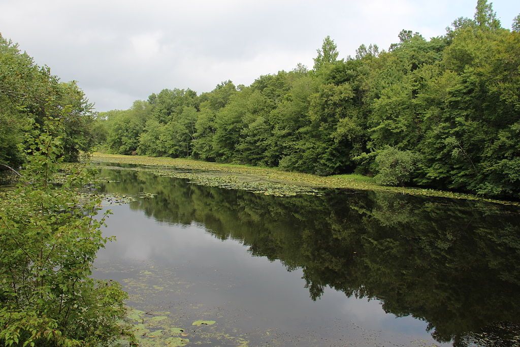 The waters of Woodcock Nature Center