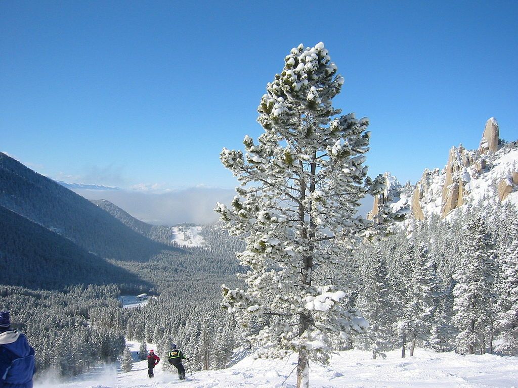 View on the Red Lodge Mountain