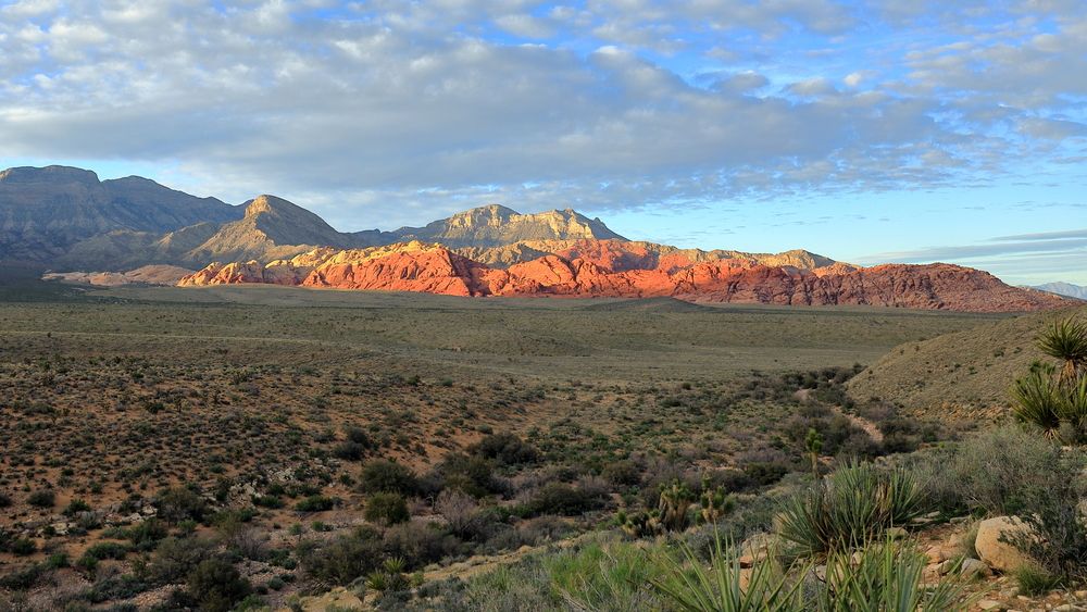 Far view of Calico Basin