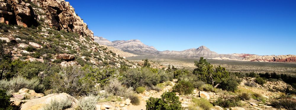 Sunny day at Ice Box Canyon Trail