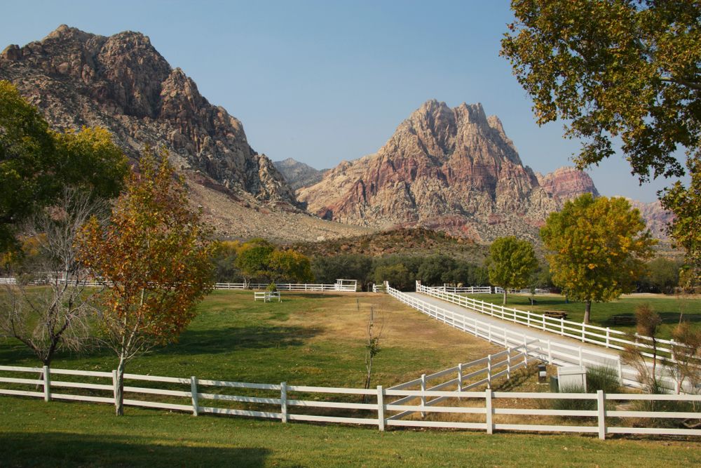 White fences of Spring Mountain Ranch State Park