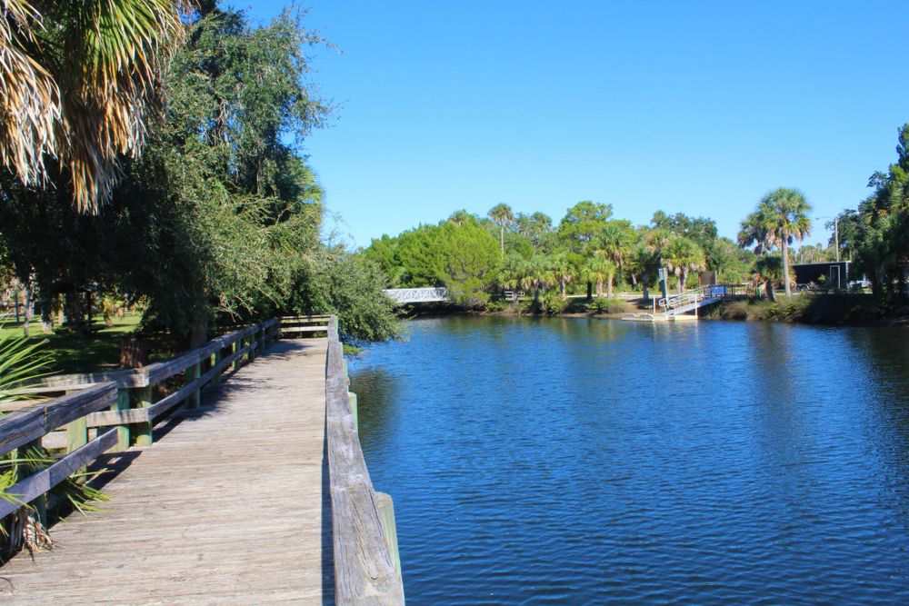 View of Jenkin's Creek Park