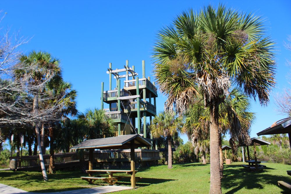 View of Jenkin's Creek Park