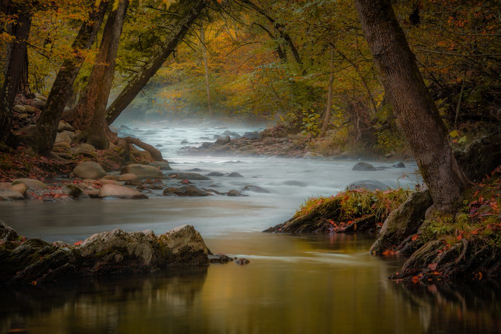 Pigeon River in TN.