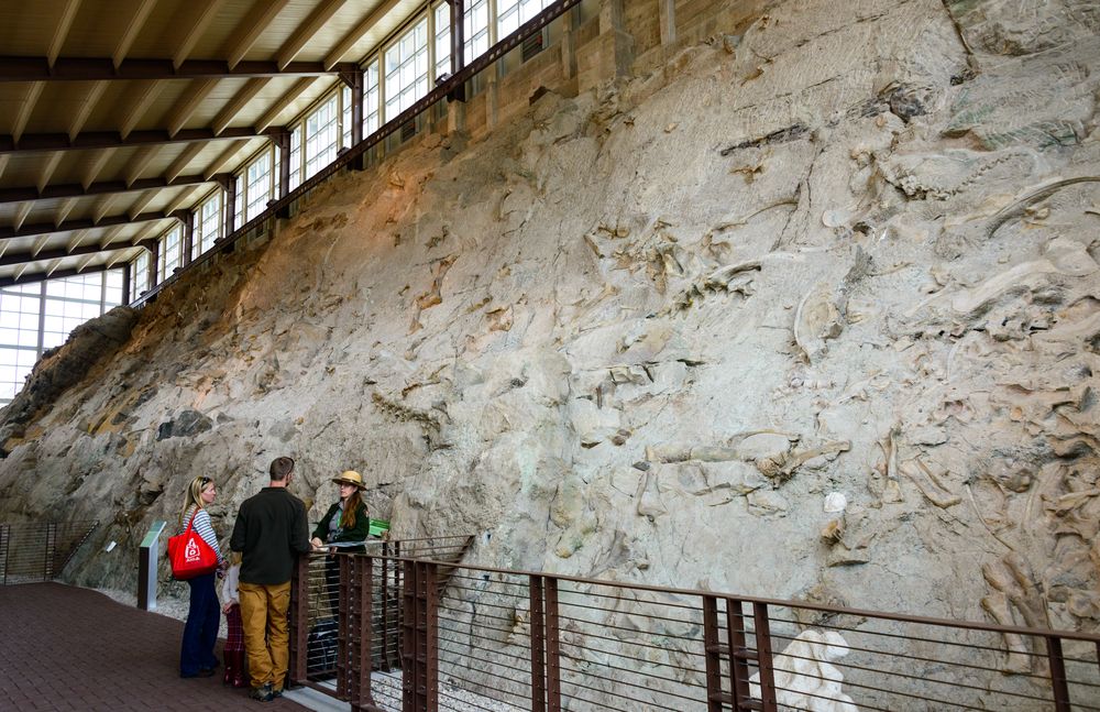 People admiring the fossils at Dinosaur National Monument