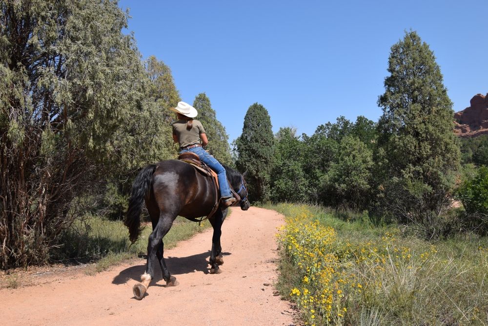 Horseback riding at Garden of the Gods