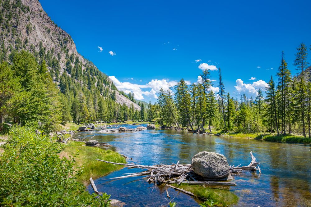 The waters of Yellowstone National Park