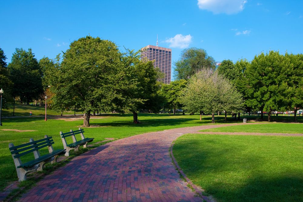 Benches along Public Garden and Boston Common