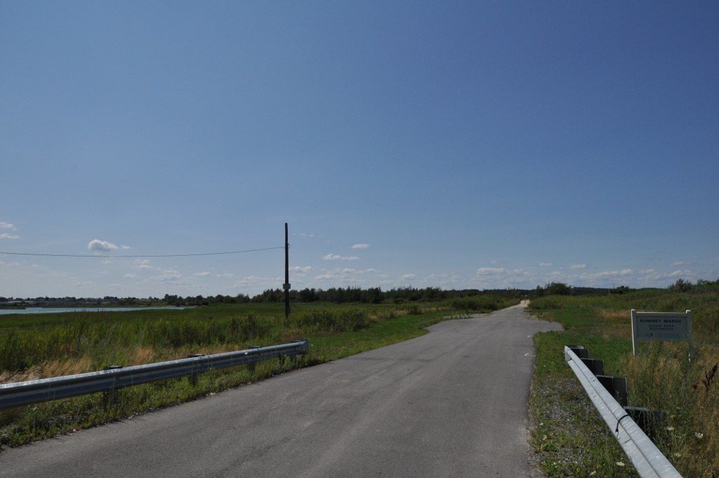 A trail at Rumney Marsh Reservation