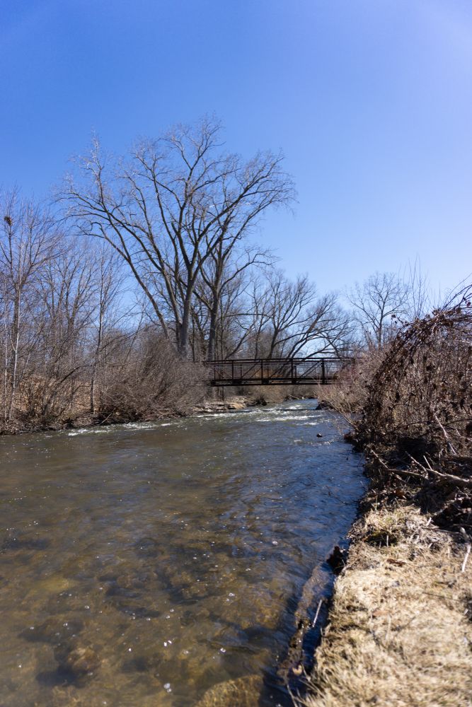 Paint creek at Rochester Municipal Park