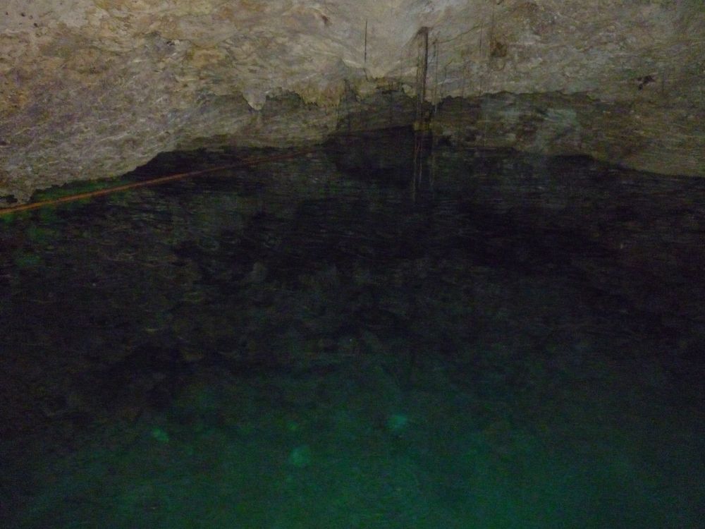 The waters of Cenote Chaak Tun
