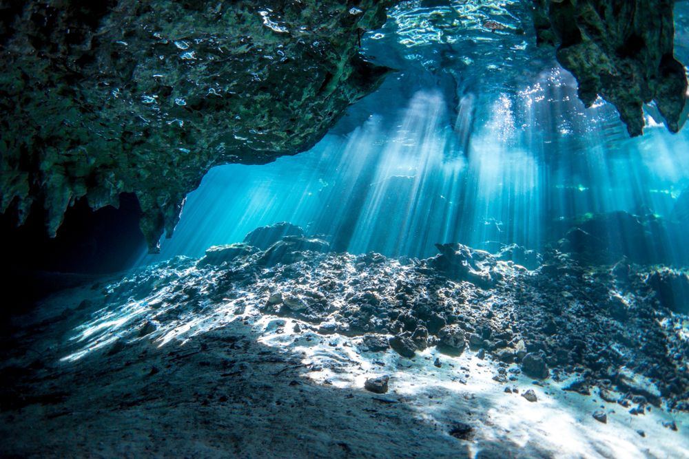 View from Gran Cenote's underwater