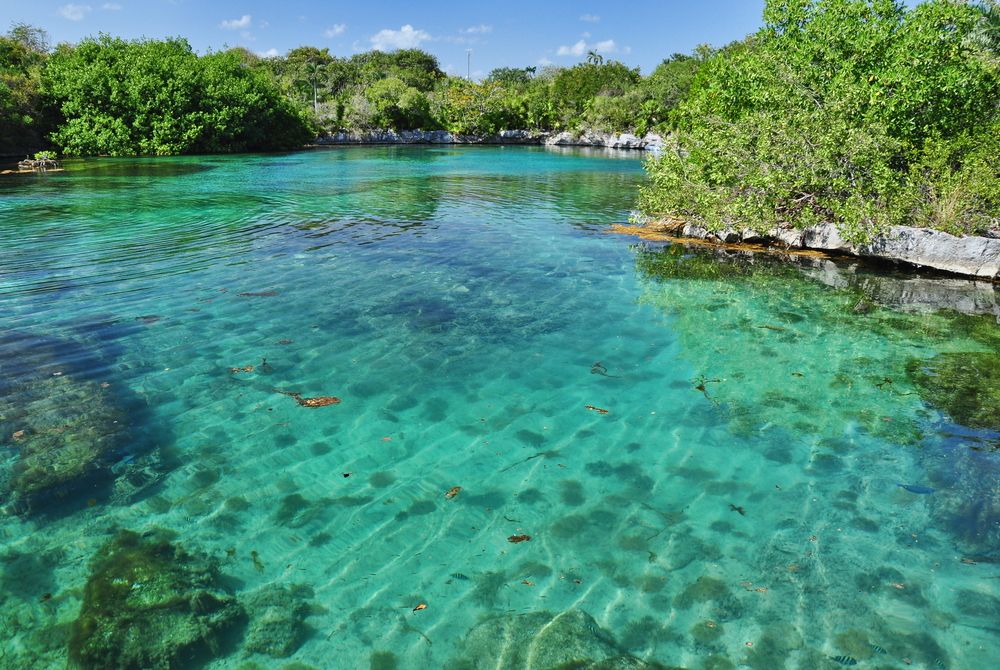 The waters of Xel-Ha Park