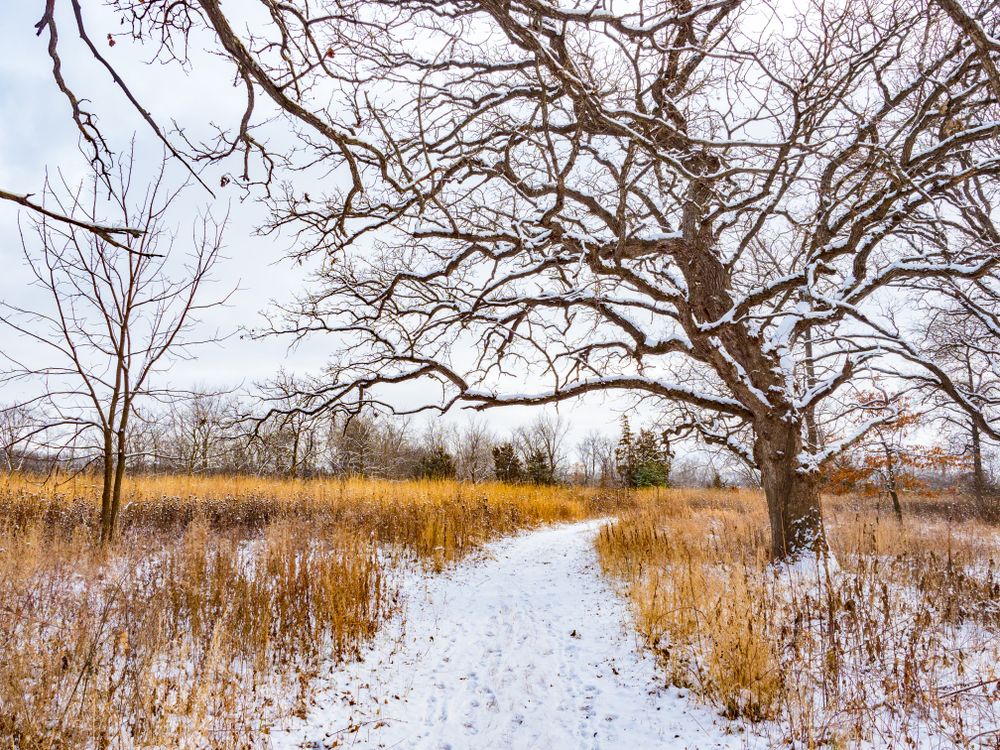 Winter scene at Quarry Hill Nature Center
