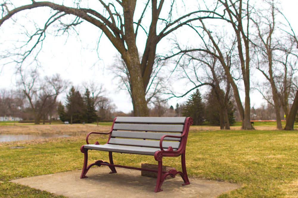 Wooden bench at Silver Lake Park