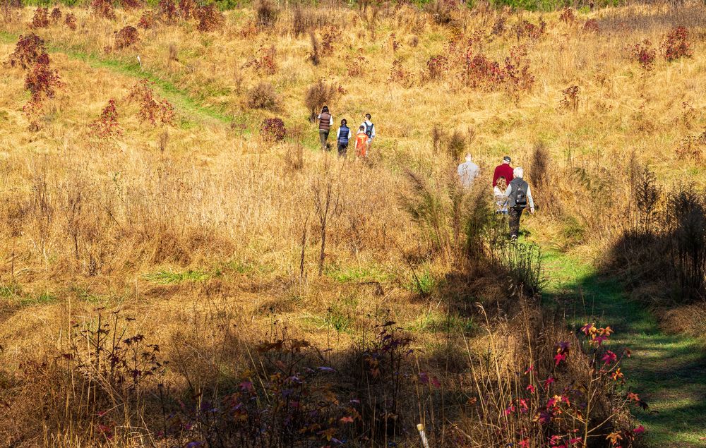 Hikers at the Annie Louise Wilkerson, MD Nature Preserve Park