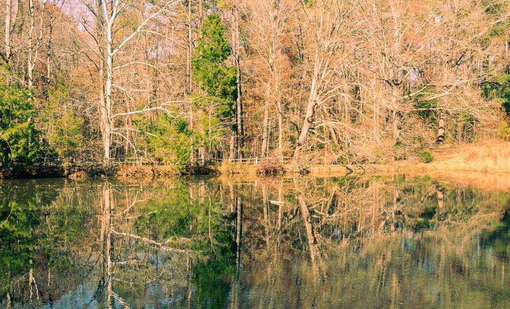 The waters of Annie Louise Wilkerson, MD Nature Preserve Park