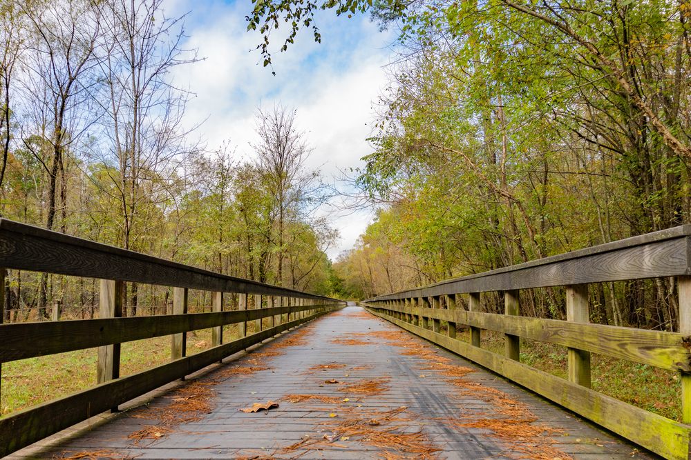 Boardwalk along Neuse River Greenway Trail