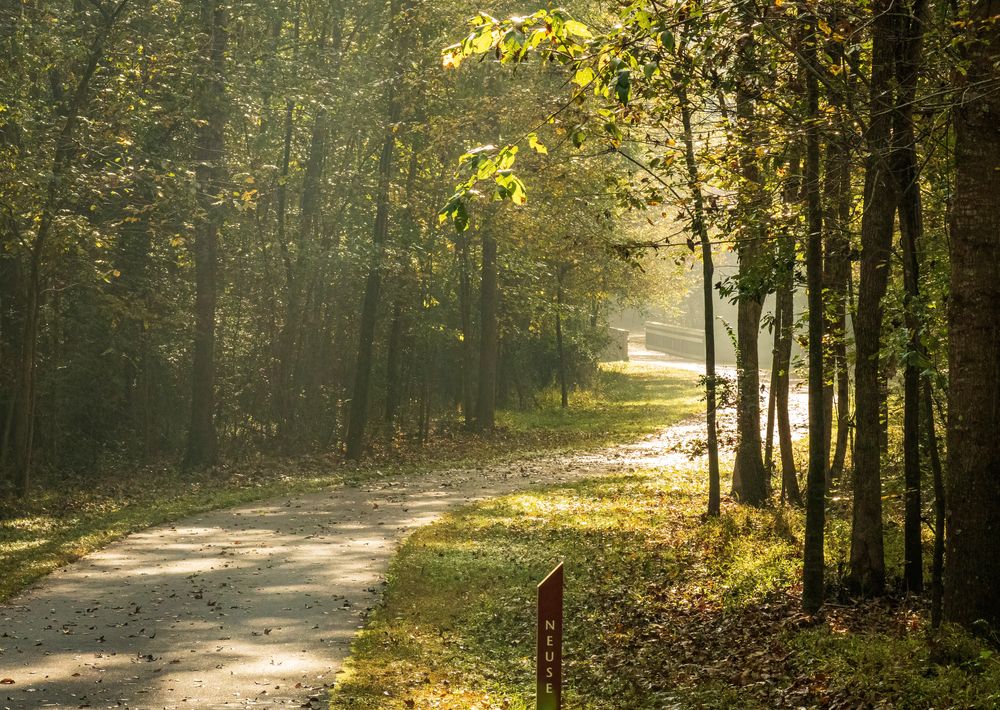 Scenic views along Neuse River Greenway Trail