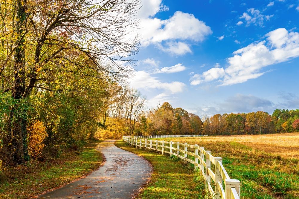 Fence around Neuse River Trail