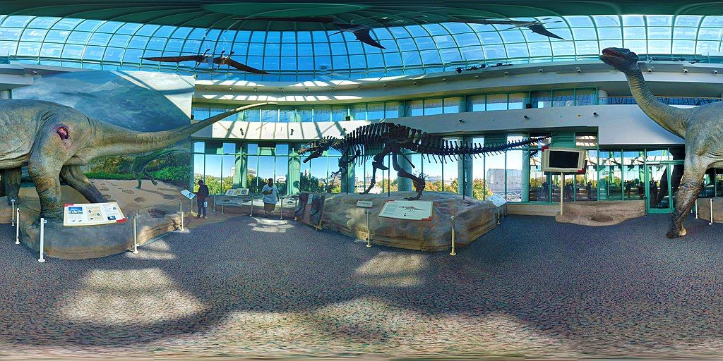 Dinosaur exhibit in the North Carolina Museum of Natural Sciences