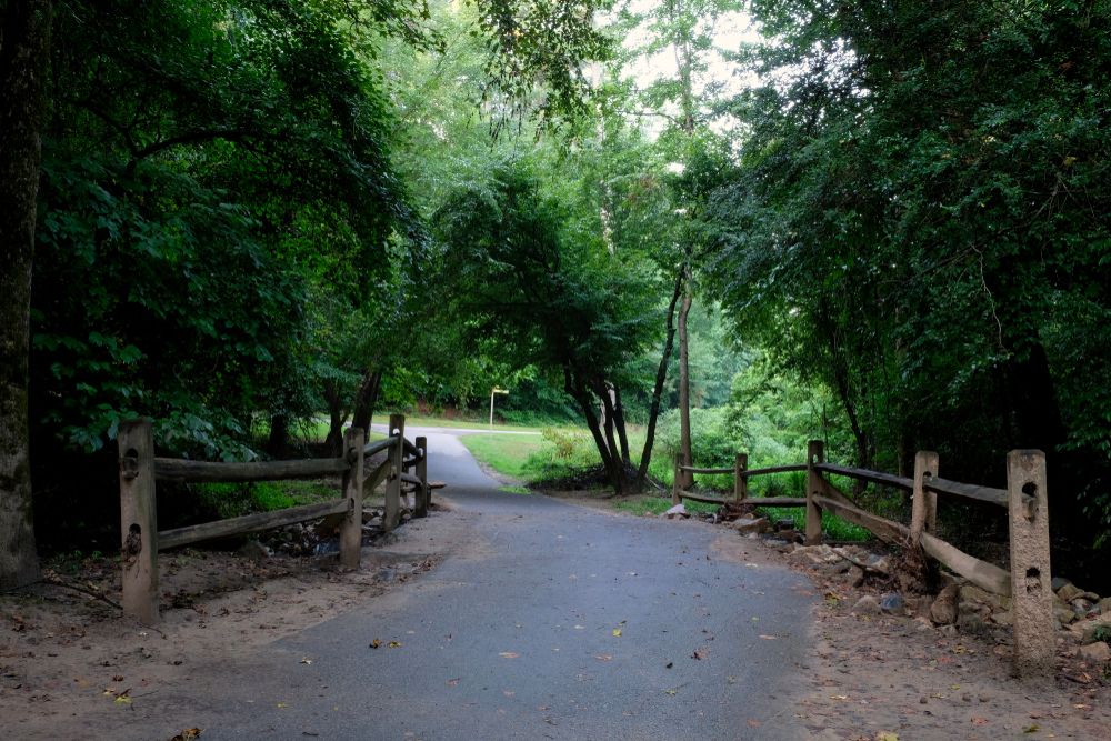 Trail at Shelley Lake Park