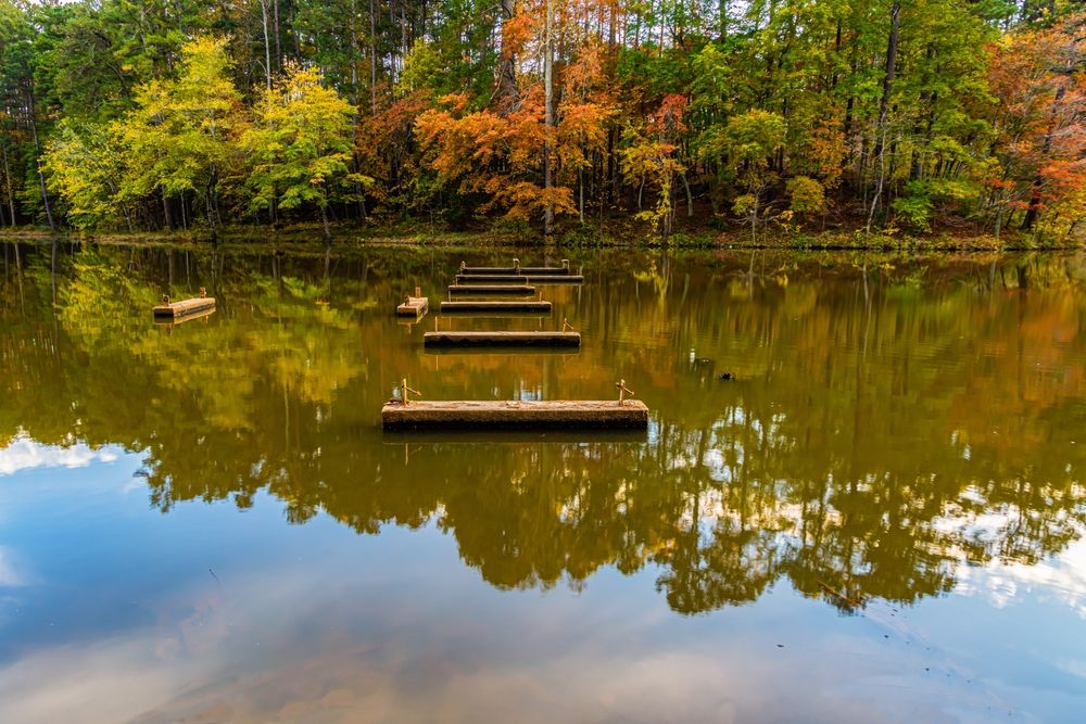 Sycamore creek at William B. Umstead State Park