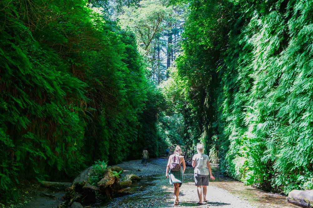 Hikers at Fern Canyon