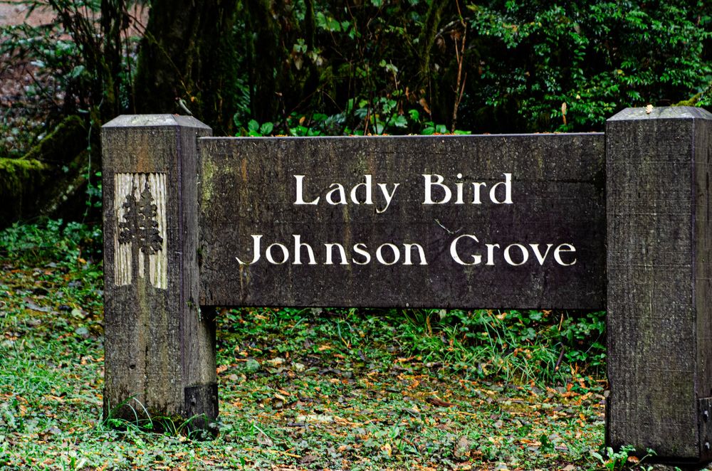 Welcome sign of Lady Bird Johnson Grove
