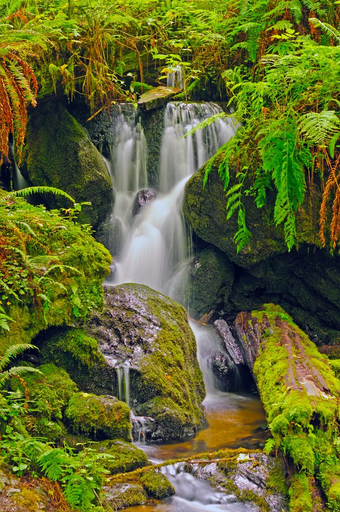 View of the gorgeous Trillium Falls
