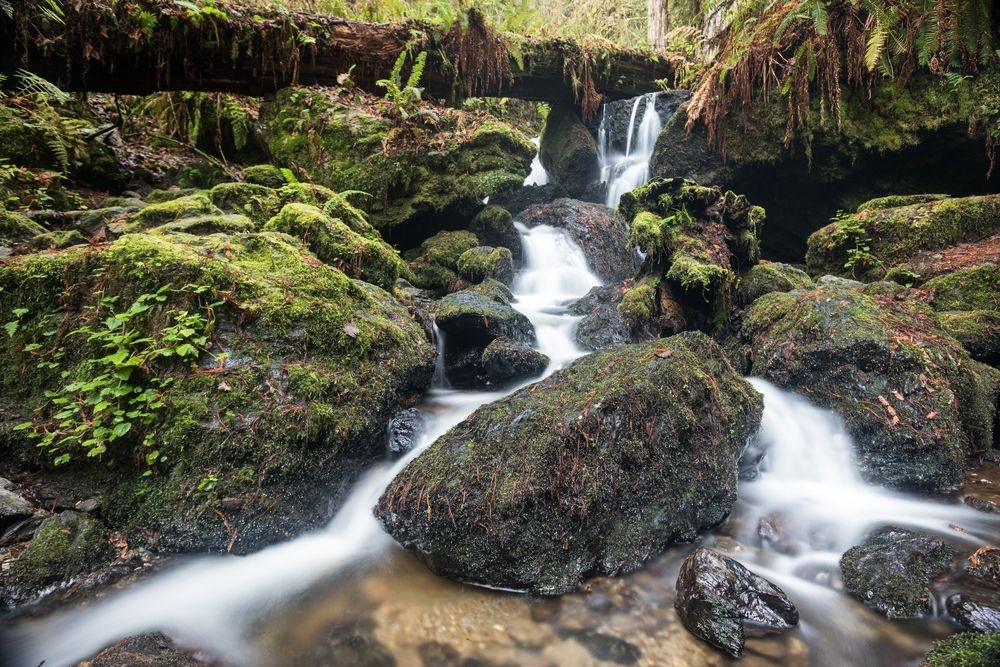 Downstream of Trillium Falls