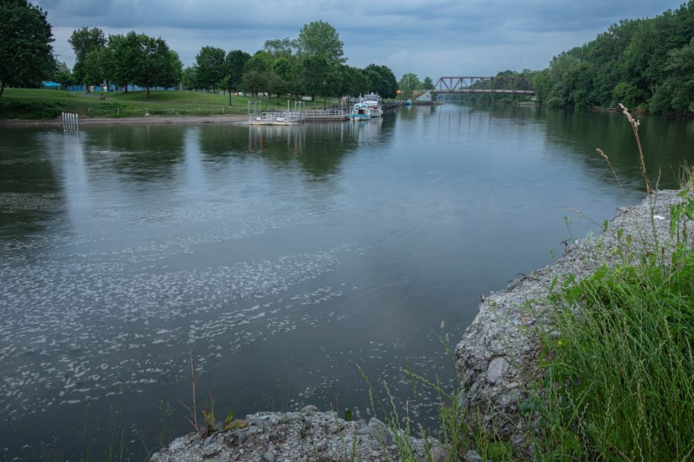 The waters of Bellamy Harbor Park