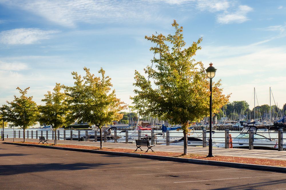 View of a marina from Genesee Riverway Trail
