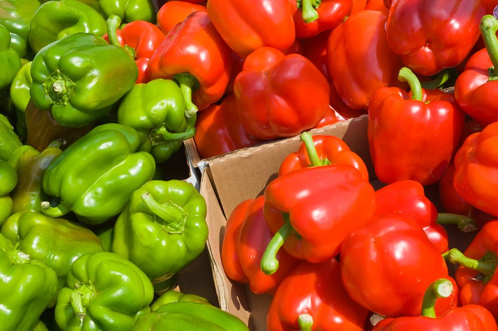 Fresh bell peppers at Rochester Public Market