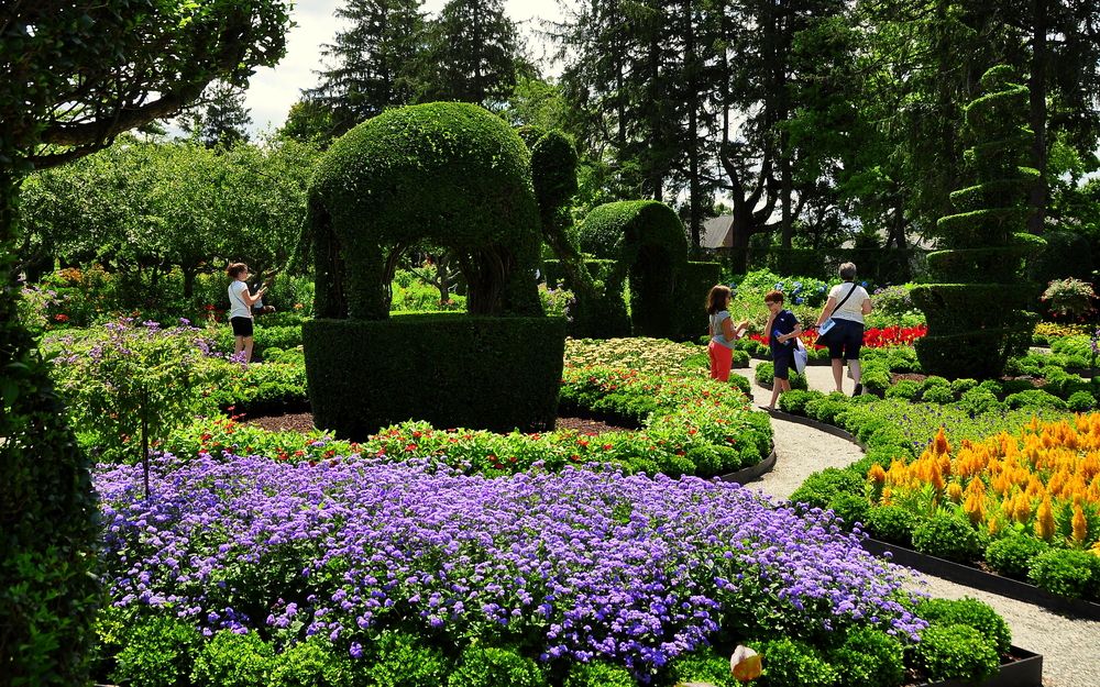 Plants at Green Animals Topiary Gardens