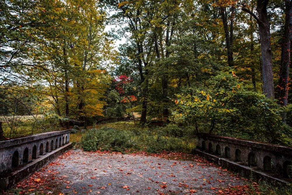 The Beauty of Rockefeller State Park Preserve