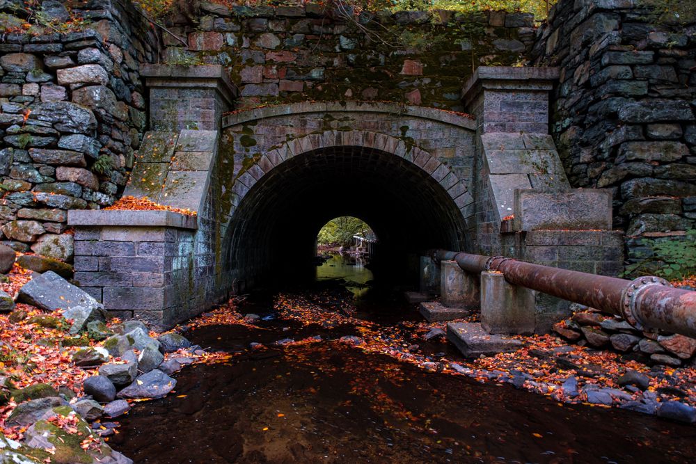 A Tunnel Rockefeller State Park
