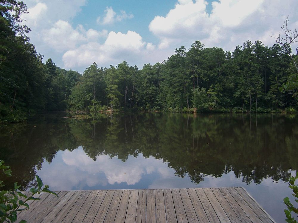 Still waters of the empty chatahoochee river with trees surrounding it.