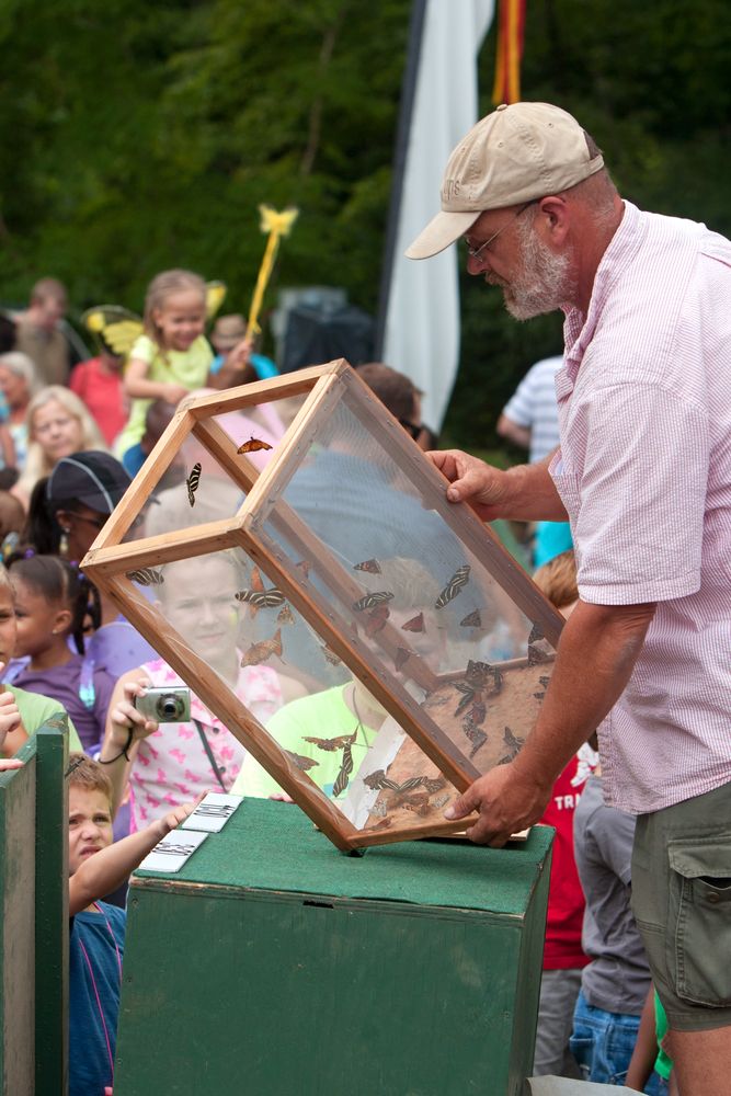 A man releasing butterflies from a box to show the children.