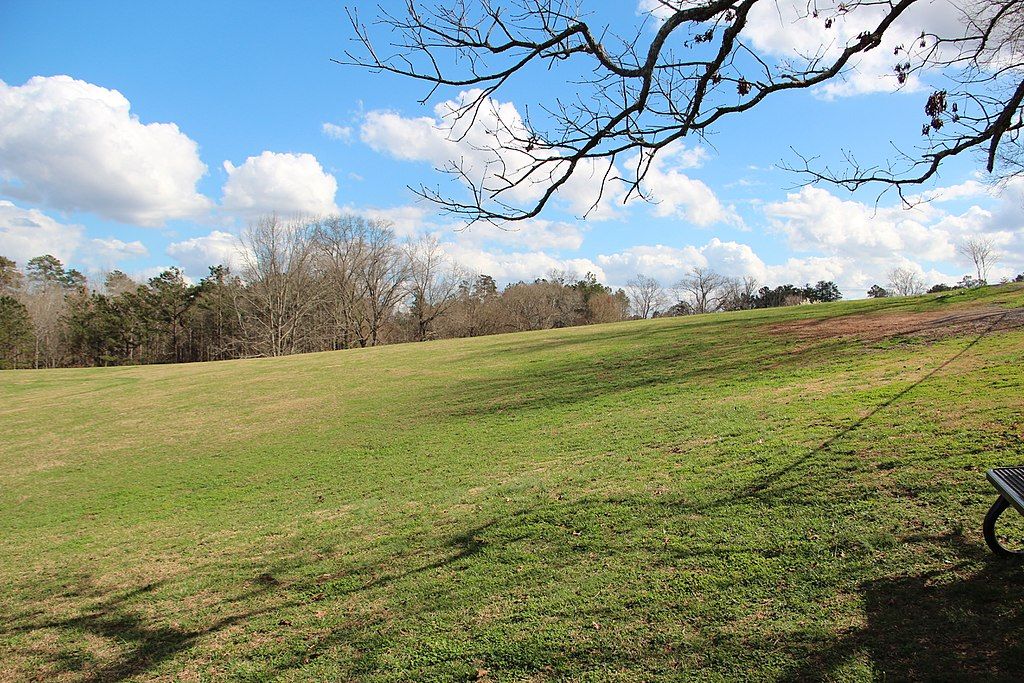 Beautiful green landscape with the sun shining down on it.