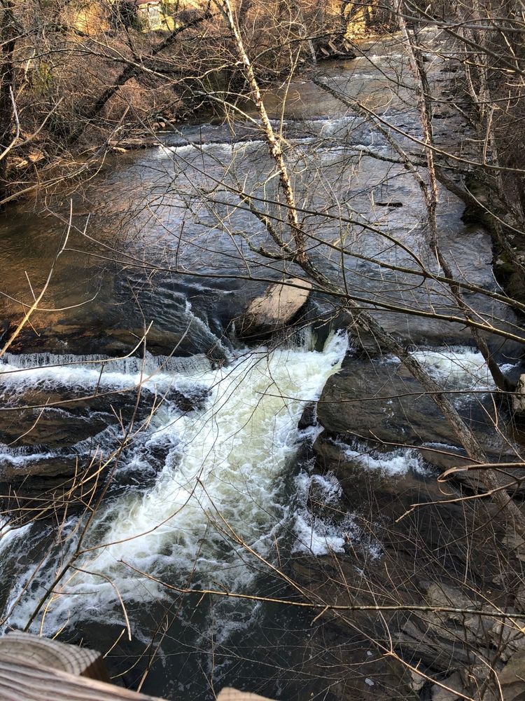 Body of water rushing on rocks and dried tree branches.