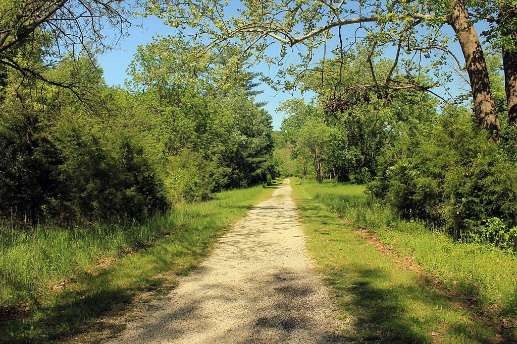 An abandoned trail of Route 66, with green trees and grass framing the walkway.
